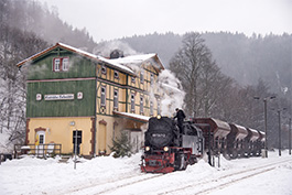 Tanago Eisenbahnreisen Harz