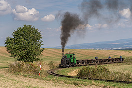 Tanago Tschechien Mladejov 2018