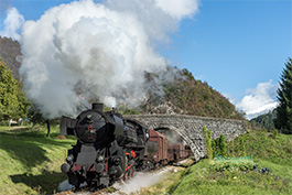 Slowenien 10 2018 Tanago Eisenbahnreisen / Railfan Tours