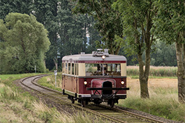 Tanago Schweineschäuzchen WKB MEM Fotofahrt 2017-07