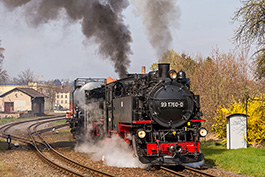 Zittau–Mit Rollwagen ins Gebirge, April 2019, Tanago Railfan Tours / Eisenbahnreisen Erlebnisreisen