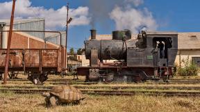 eritrea-tanago-erlebnisreisen-eisenbahnreisen-railfan-tours-photo_charter-12.jpg