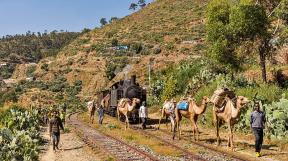 eritrea-tanago-erlebnisreisen-eisenbahnreisen-railfan-tours-photo_charter-19.jpg