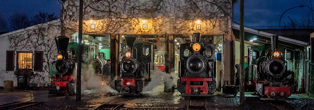 Döllnitzbahn Oschatz Mügeln IVk Tanago Eisenbahnriesen Erlebnisreisen