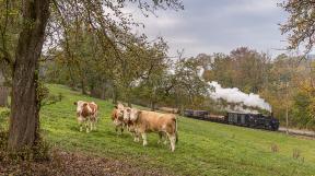 gueterzugfestival-steyrtalbahn-tanago-eisenbahnreisen-railfan-tours_1.jpg
