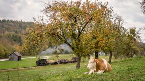 gueterzugfestival-steyrtalbahn-tanago-eisenbahnreisen-railfan-tours_3.jpg