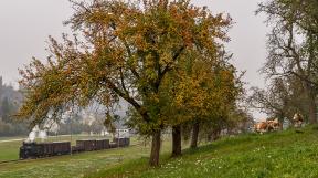 gueterzugfestival-steyrtalbahn-tanago-eisenbahnreisen-railfan-tours_8.jpg