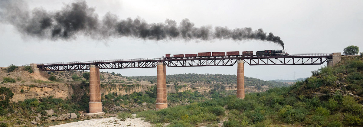 Mongolia Tanago Railfan tours
