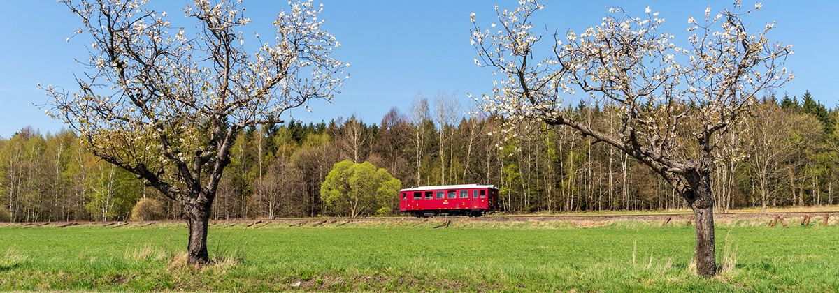 Tanago Tschechien Schluckenauer Zipfel Eisenbahnreisen