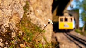 wendelstein-tanago-railfan-tours-eisenbahnreisen-18.jpg