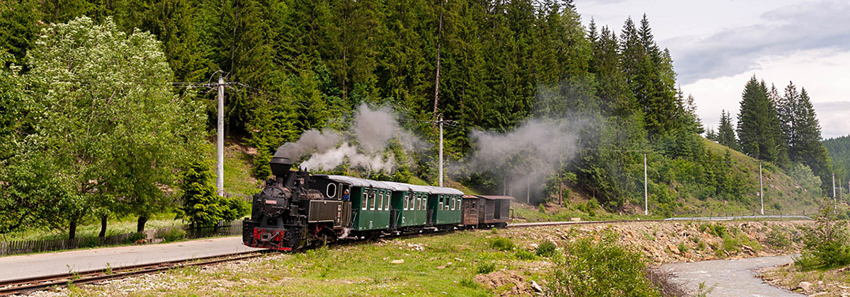 Romania Vaser Valley Forestry Tanago Railfan tours photo charter