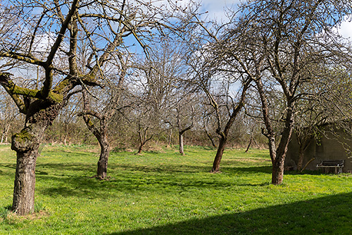 Bauernhof Fünfhausen