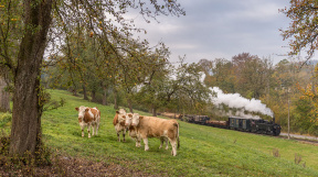 herbstliches-Steyrtal-tanago-eisenbahnreisen-railfan-tours-1.jpg