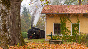herbstliches-Steyrtal-tanago-eisenbahnreisen-railfan-tours-10.jpg