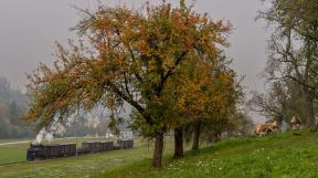 herbstliches-Steyrtal-tanago-eisenbahnreisen-railfan-tours-13.jpg