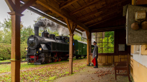 herbstliches-Steyrtal-tanago-eisenbahnreisen-railfan-tours-14.jpg