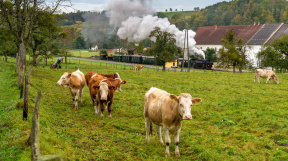 herbstliches-Steyrtal-tanago-eisenbahnreisen-railfan-tours-15.jpg
