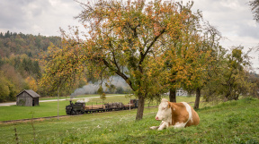 herbstliches-Steyrtal-tanago-eisenbahnreisen-railfan-tours-2.jpg