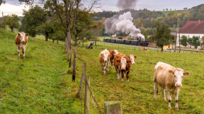 herbstliches-Steyrtal-tanago-eisenbahnreisen-railfan-tours-21.jpg