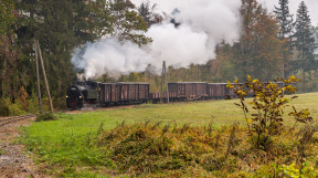 herbstliches-Steyrtal-tanago-eisenbahnreisen-railfan-tours-9.jpg