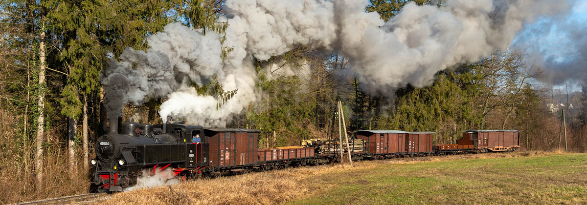 Öchsle steam locomotive Tanago Railfan Tours