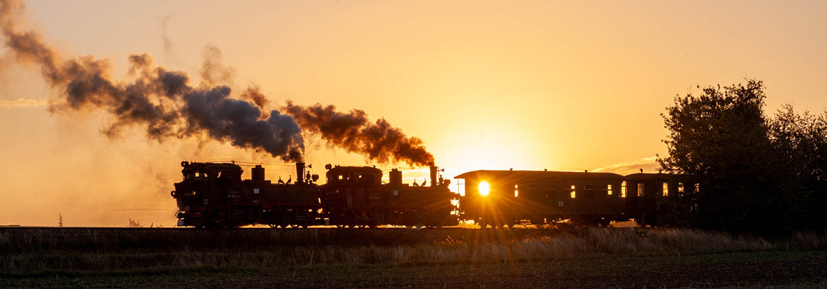 Poland Znin Px38 narrow gauge steam Tanago Railfan tours