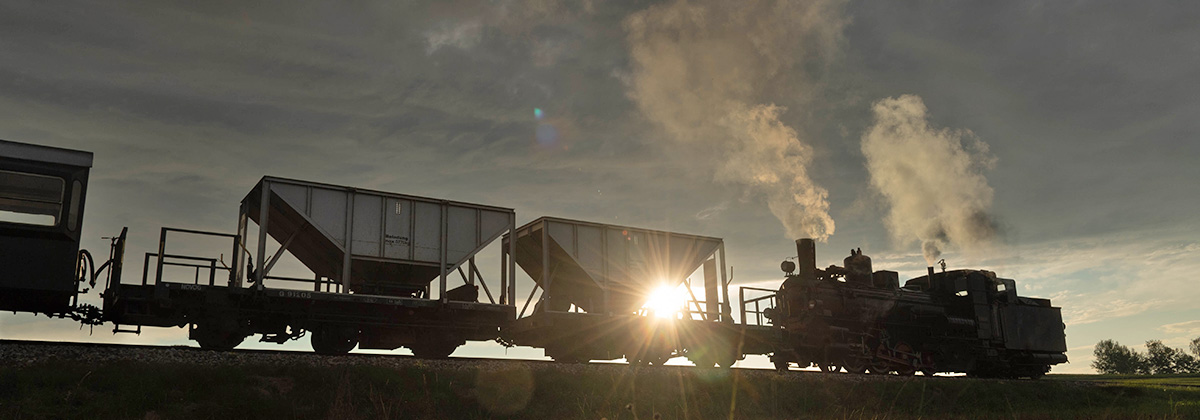 Döllnitzbahn Oschatz Mügeln IVk Tanago Eisenbahnriesen Erlebnisreisen