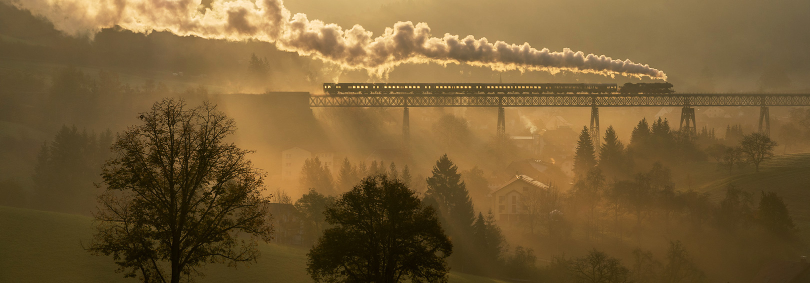 Döllnitzbahn Oschatz Mügeln IVk Tanago Eisenbahnriesen Erlebnisreisen