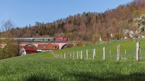 schwaebischer-wald_tanago-eisenbahnreisen-railfan-tours-16.jpg