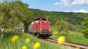 schwaebischer-wald_tanago-eisenbahnreisen-railfan-tours-27.jpg