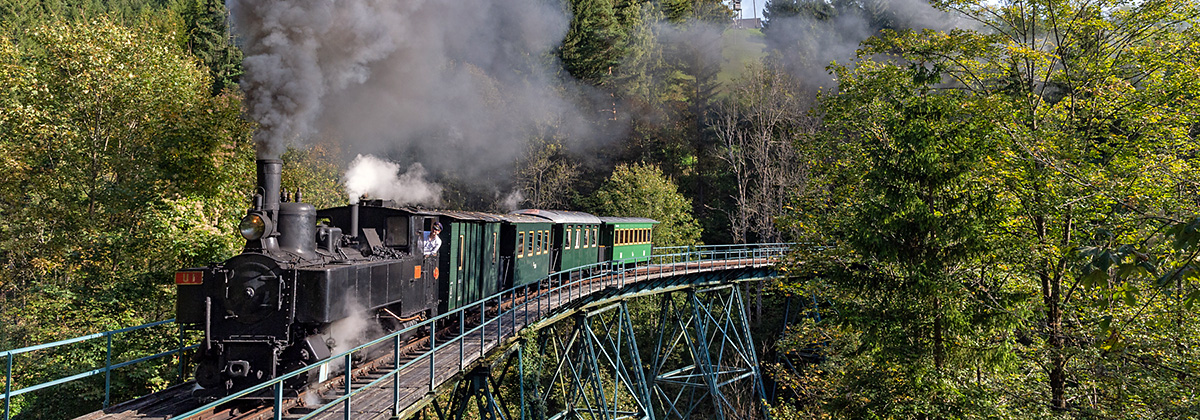 Döllnitzbahn Oschatz Mügeln IVk Tanago Eisenbahnriesen Erlebnisreisen