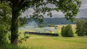 waldviertelbahn-2024-tanago-eisenbahnreisen-8.jpg