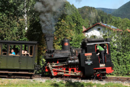 Dampf am Schneeberg, Tanago Eisenbahnreisen Erlebnisreisen