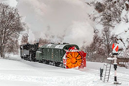 Fotofahrt mit der Dampfschneeschleuder R12 der DFB, Tanago Eisenbahnreisen Erlebnisreisen